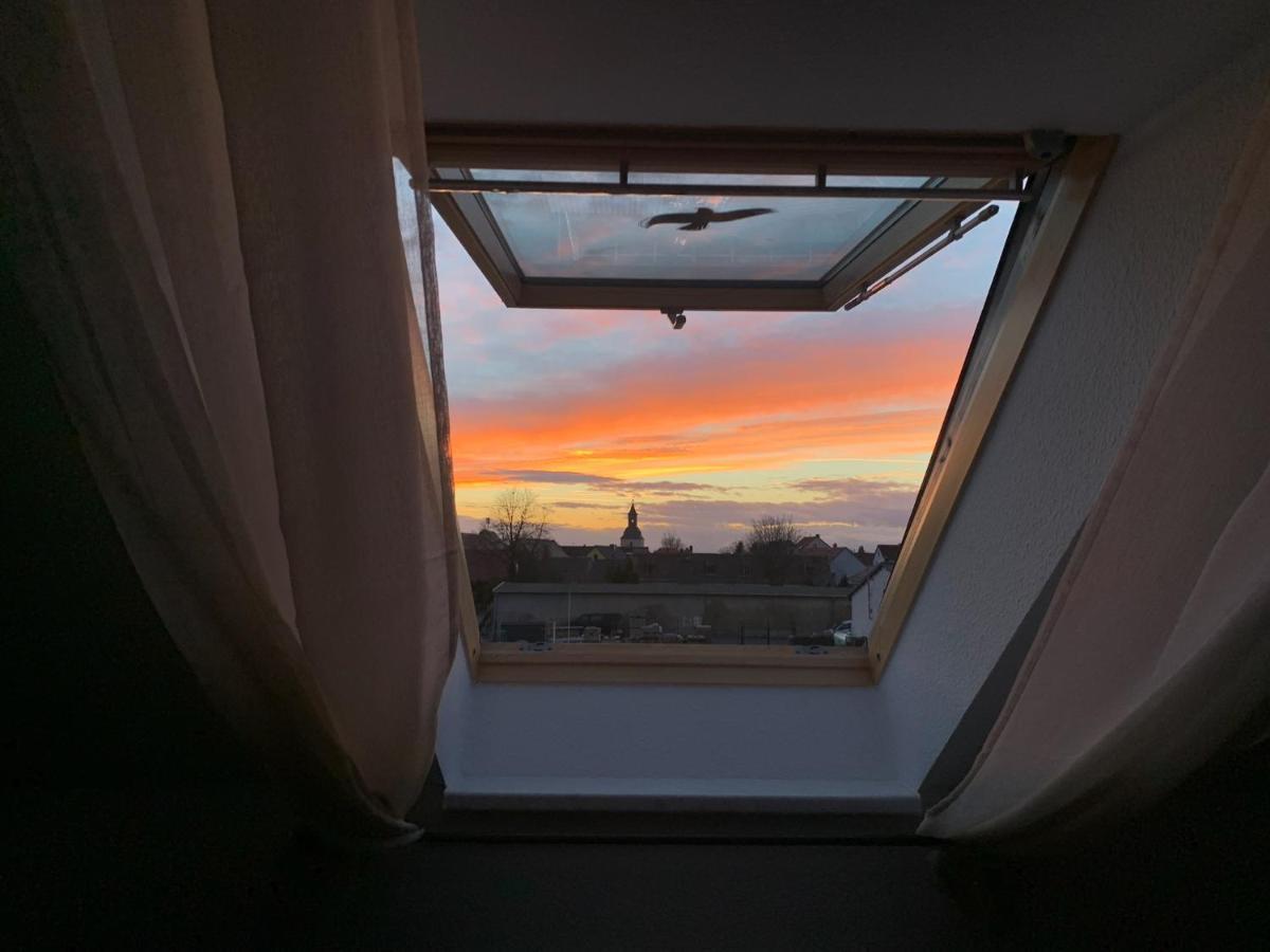 Ferienwohnung Oelzschau - Urlaub Im Leipziger Neuseenland Rötha Zewnętrze zdjęcie